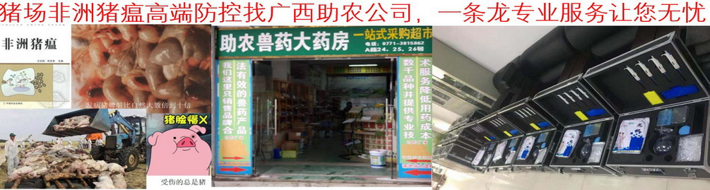 豬場(chǎng)非洲豬瘟高端防控找廣西助農(nóng)公司，一條龍專(zhuān)業(yè)服務(wù)讓您無(wú)憂(yōu)