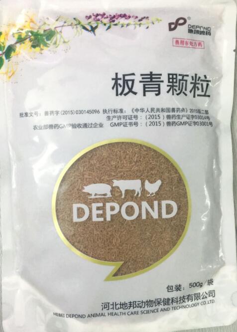 板青顆粒-清熱解毒，涼血。主治風(fēng)熱感冒，咽喉腫痛，熱病發(fā)斑。-河北地邦