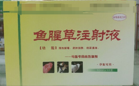 魚腥草注射液，清熱解毒，消腫排濃，利尿通琳，乳房脹痛，排尿不暢等