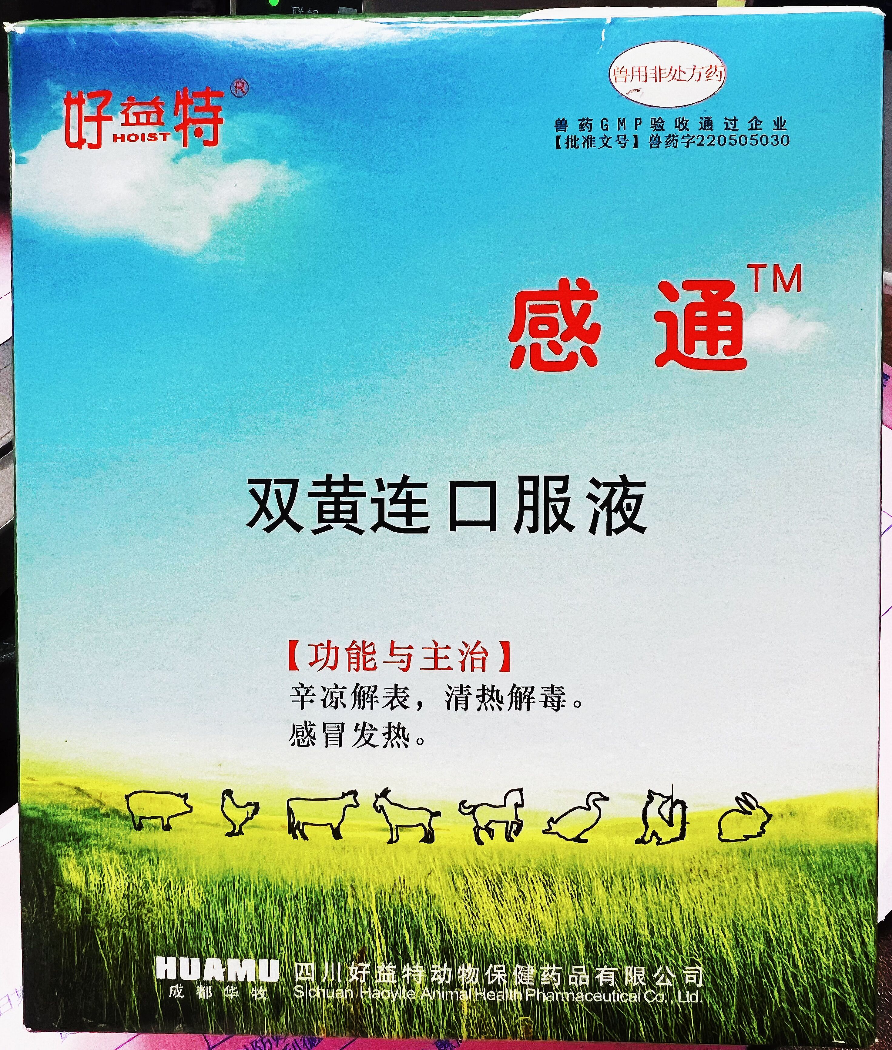 雙黃連口服液，辛涼解表，清熱解毒，感冒發(fā)熱，體溫升高，發(fā)熱與惡寒同時(shí)并見