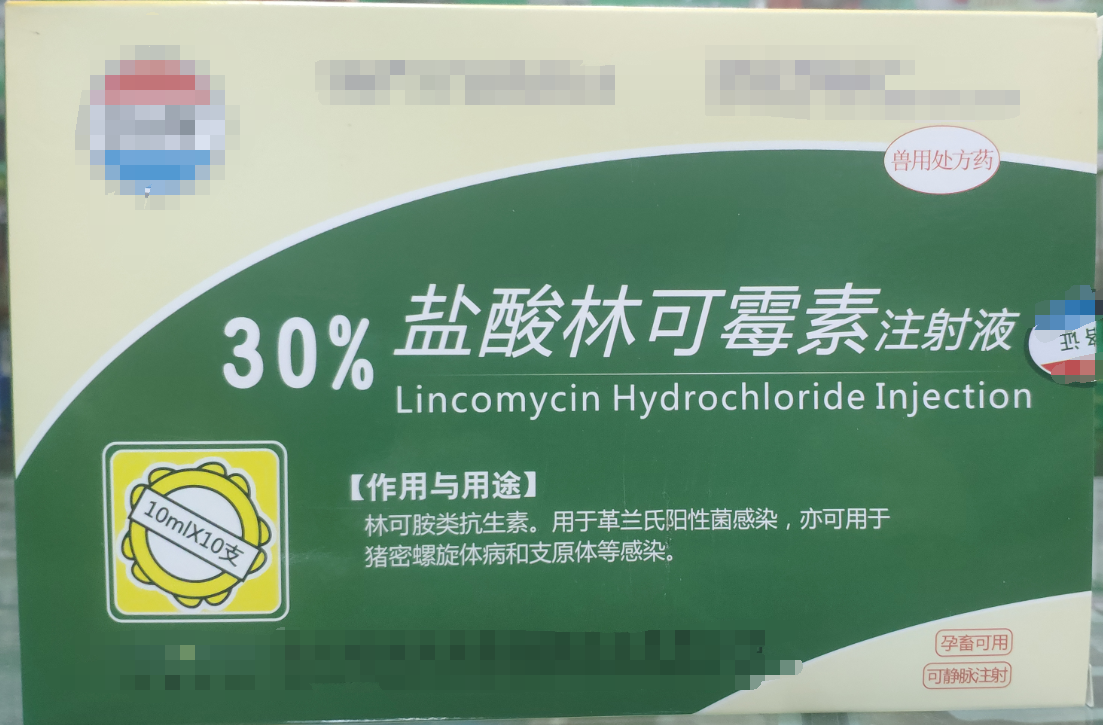 30%林可霉素注射液，用于革蘭氏陽性菌感染，亦用于母蓄的產(chǎn)后消炎，亦可用于豬密螺旋體和支原體感染