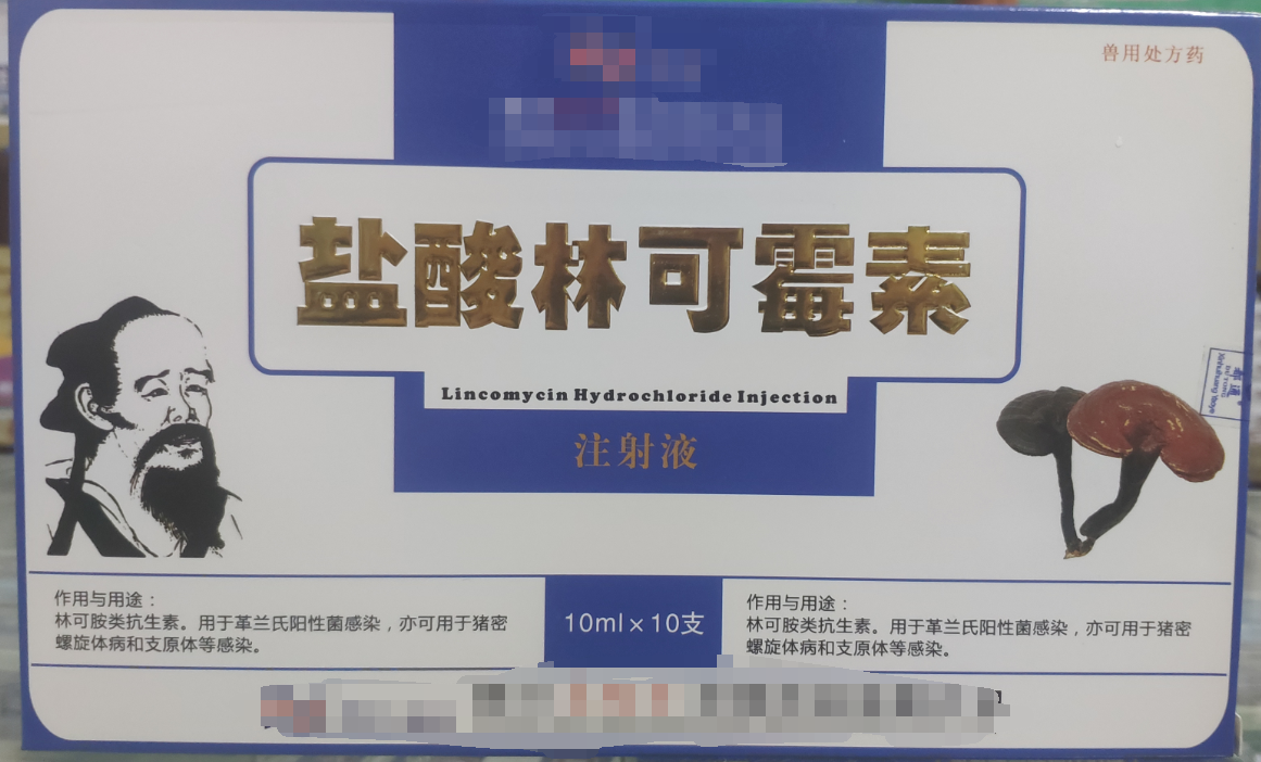 林可霉素注射液，用于革蘭氏陽性菌感染，亦可用于豬密螺旋體和支原體感染