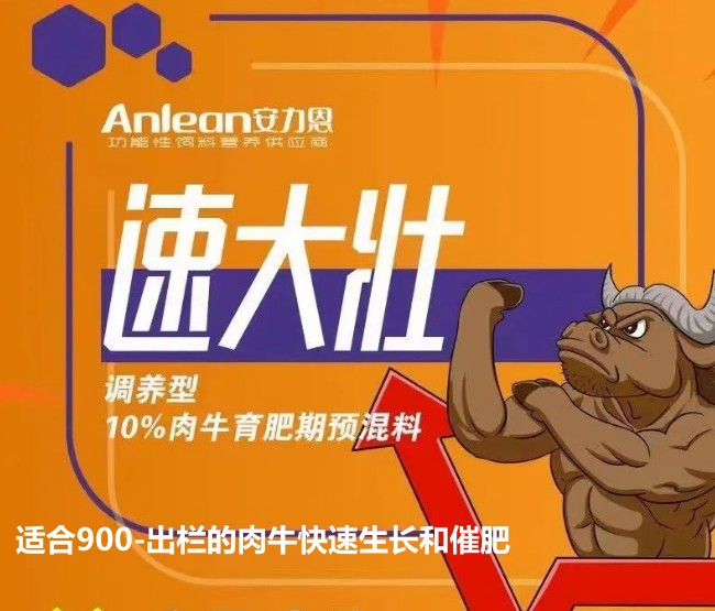 安力恩——速達(dá)壯調(diào)養(yǎng)型10%肉牛育成期預(yù)混料-適合900-出欄的肉?？焖偕L和催肥