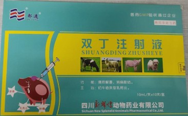 雙丁注射液——清熱解毒、抗菌消炎、消腫排膿、利尿通淋