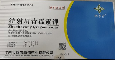 注射用青霉素鉀（160萬），治療呼吸道感染、豬丹毒、炭疽病毒、敗血癥，肺疫、惡性水腫、腹膜炎、膿腫等