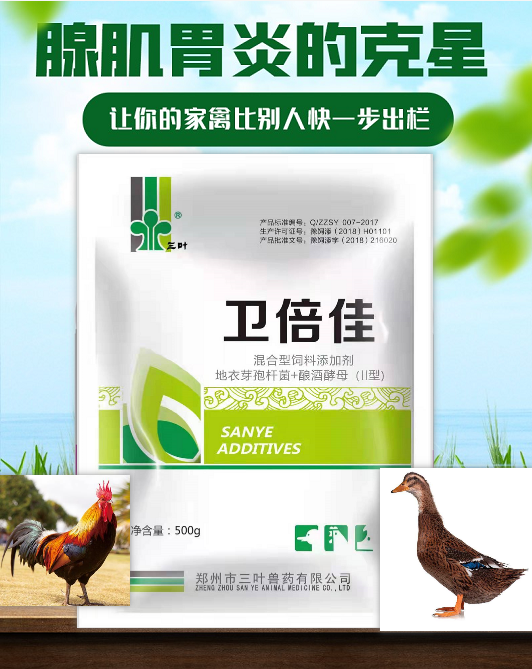 【新產(chǎn)品】腺肌胃炎的克星，讓你的家禽比別人更快一步出欄！