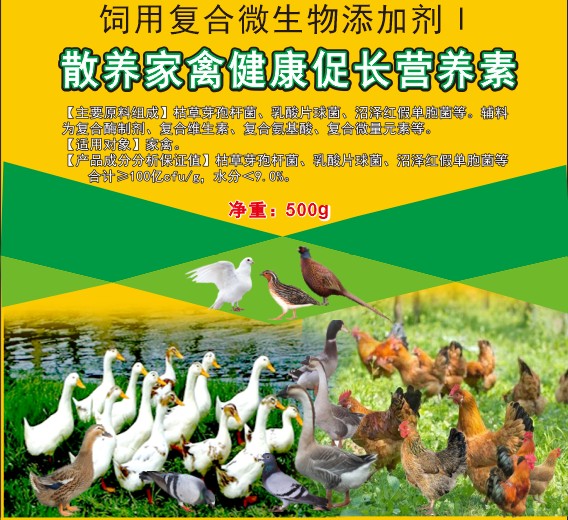 散養(yǎng)家禽健康促長(zhǎng)營(yíng)養(yǎng)素，散養(yǎng)土雞土鴨促長(zhǎng)營(yíng)養(yǎng)素，散養(yǎng)土蛋雞增產(chǎn)保健營(yíng)養(yǎng)素