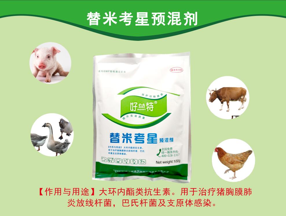 替米考星粉，呼吸道病更好的抗生素，主要防治家畜肺炎(由胸膜肺炎放線桿菌、巴氏桿菌、支原體等感染引起)、禽支原體病及泌乳動物的乳腺炎。