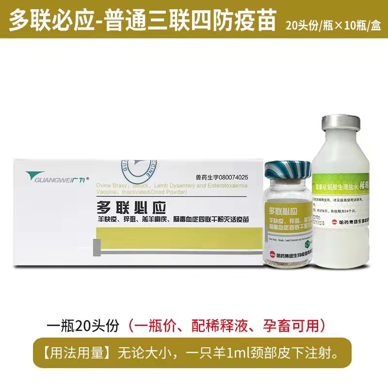 多聯(lián)必應-羊快疫、猝疽、羔羊痢疾、腸毒血癥四聯(lián)干粉滅活疫苗