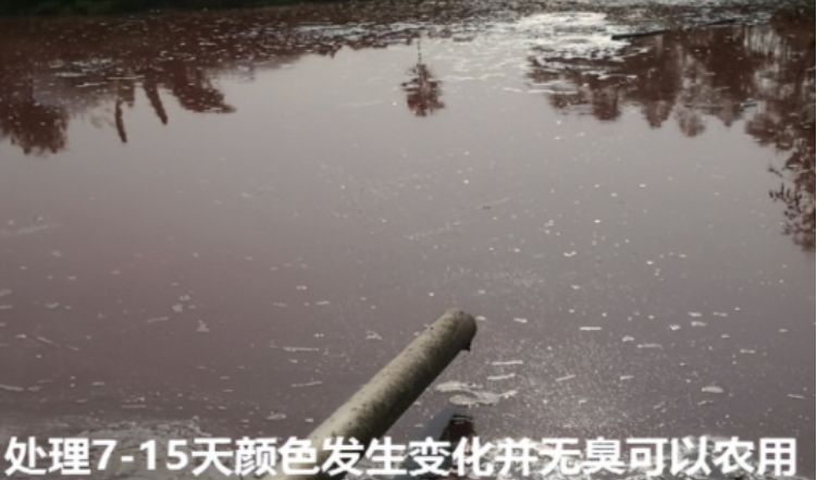 微信截圖_20241209100548.jpg