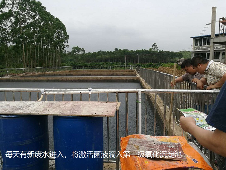 每天有新廢水進(jìn)入，將激活菌液滴入第一級(jí)氧化沉淀池.jpg