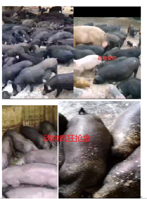 微信圖片_20220924103942.png