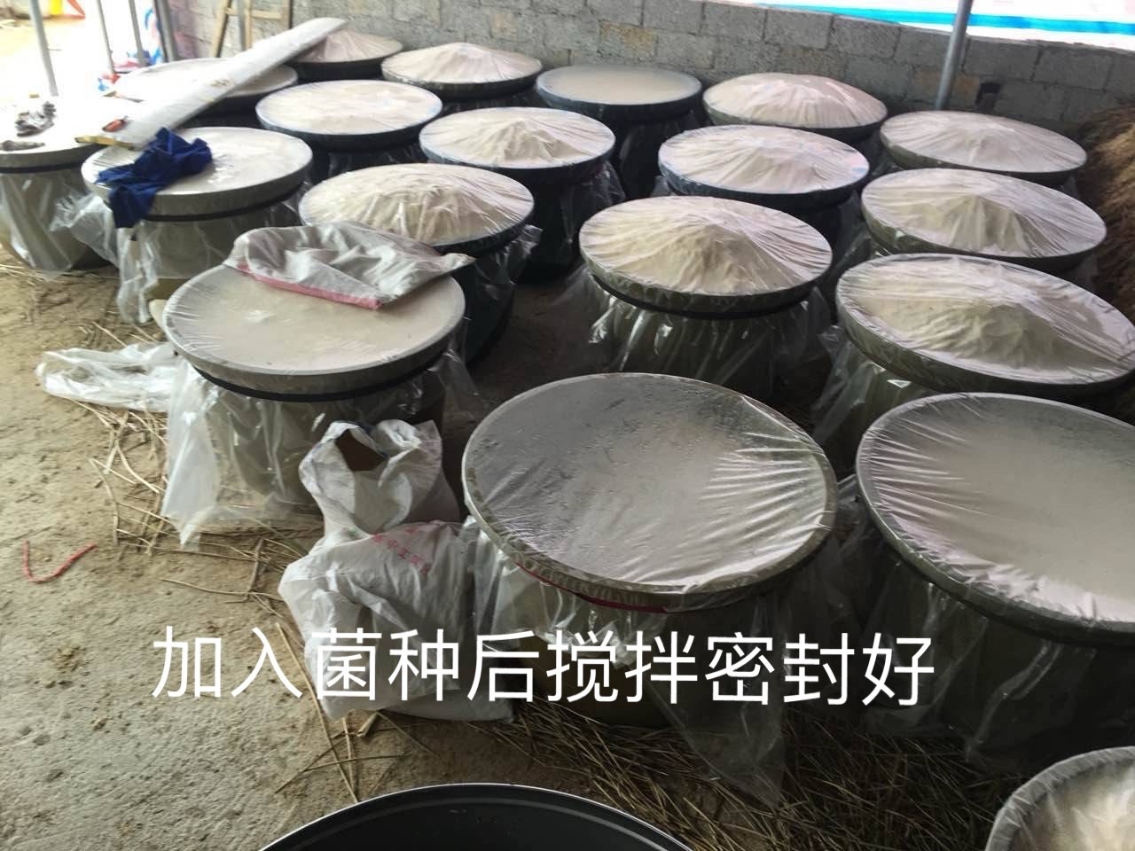微信圖片_20250305112105.jpg