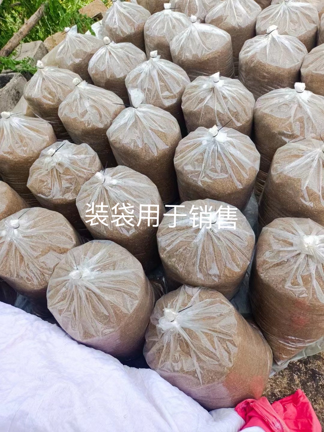 微信圖片_20250305112210.jpg