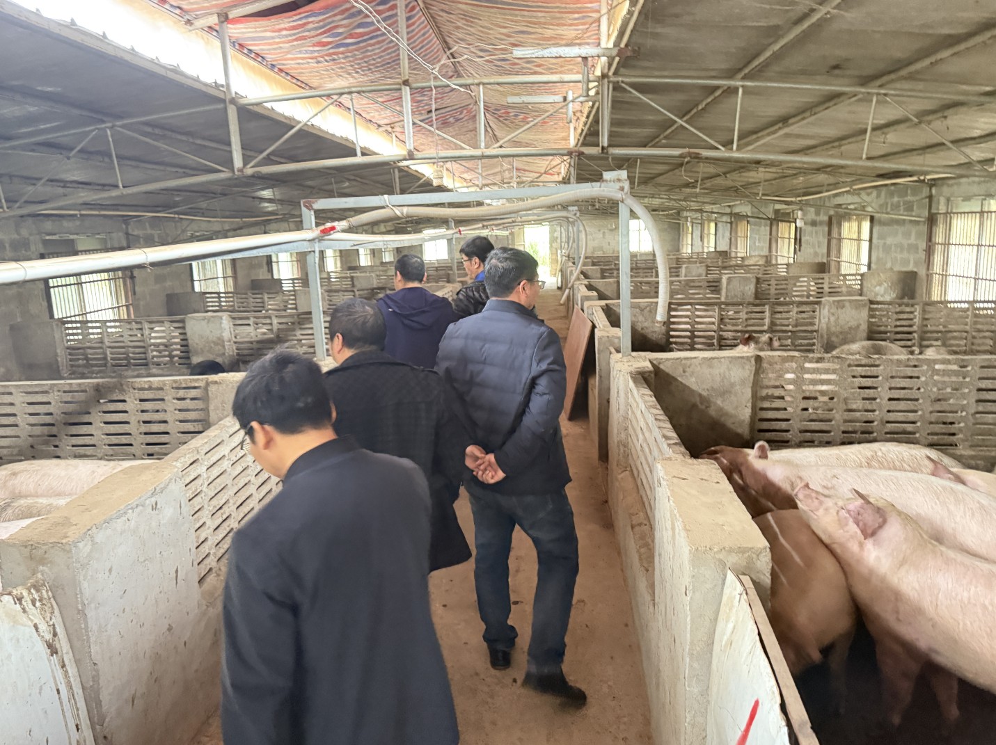 金陵農(nóng)牧集團前來調研6.jpg