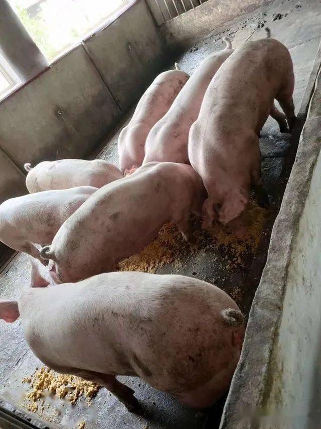 微信圖片_20250314101053.jpg