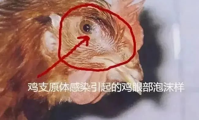 微信圖片_20250613105529.jpg