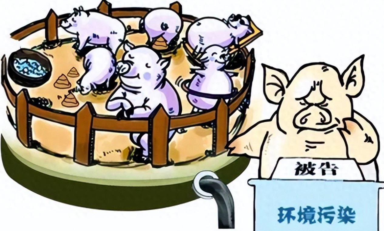 畜禽養(yǎng)殖環(huán)境污染.jpg