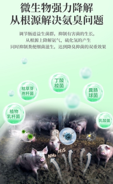 微信截圖_20250716100411.jpg