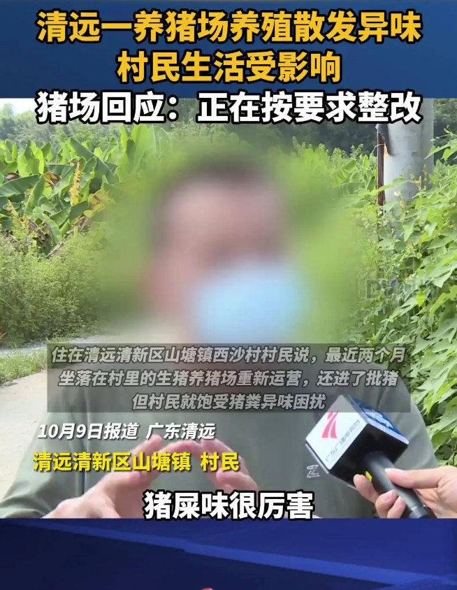 豬場臭味大被投訴.jpg