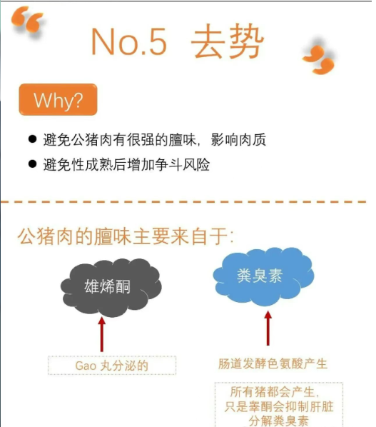 截圖20250903091823.png