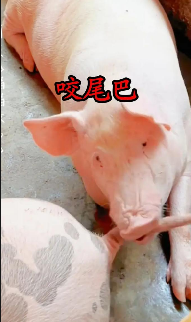 截圖20250917092346.png