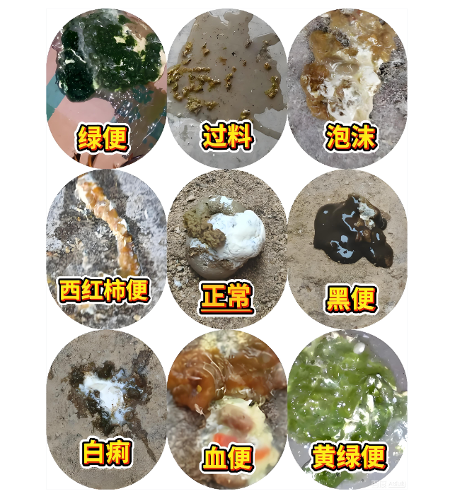 截圖20251217095640.png