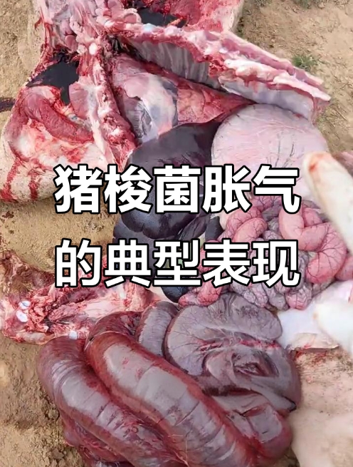 微信截圖_20260122094438.jpg