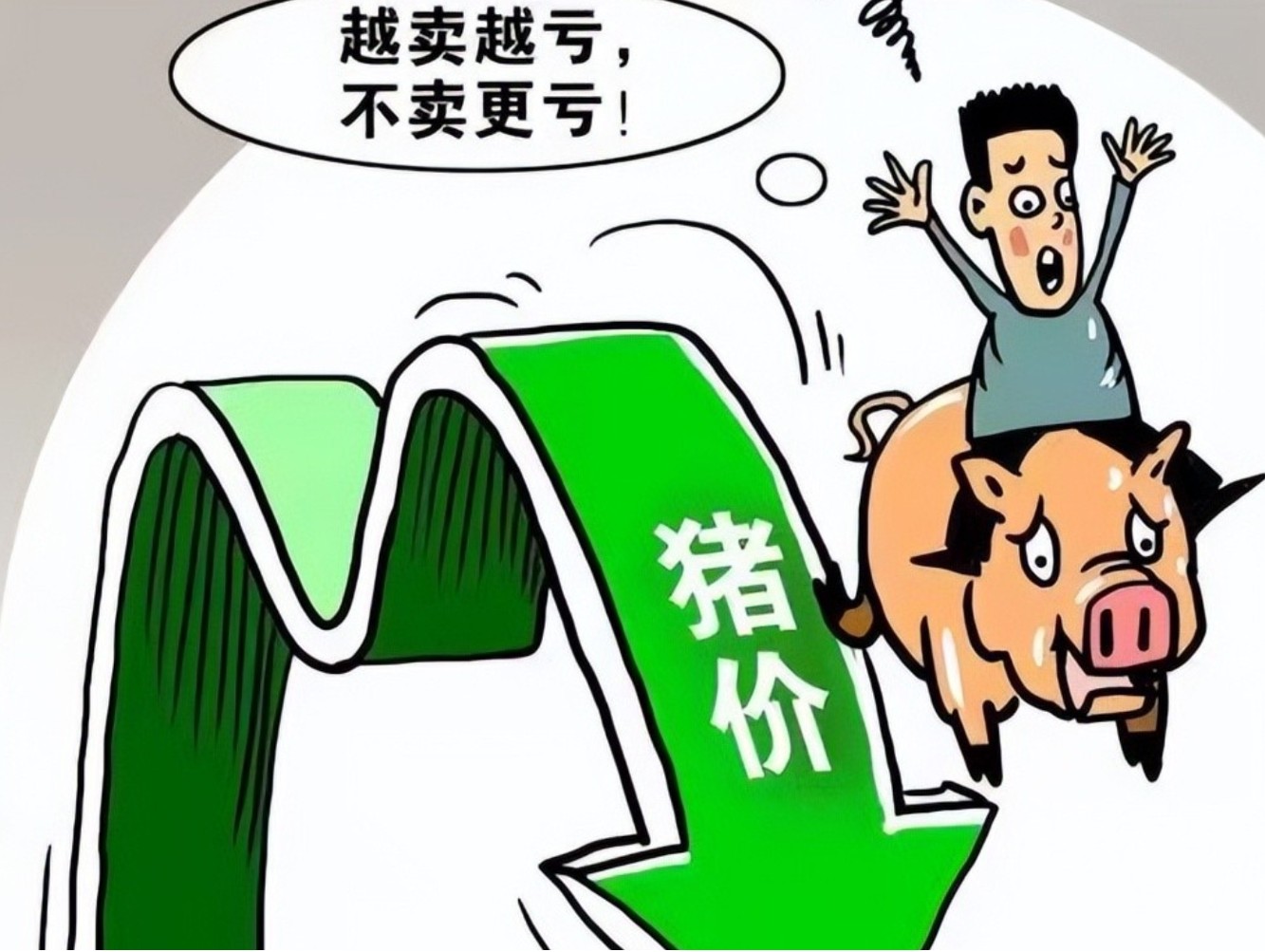 養(yǎng)豬虧損1.jpg