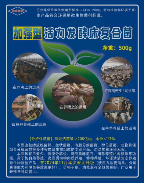 b1182b99c5a962afa06b8977daea1cee_17725220549454359.png