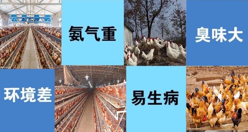微信圖片_20260304110535.jpg