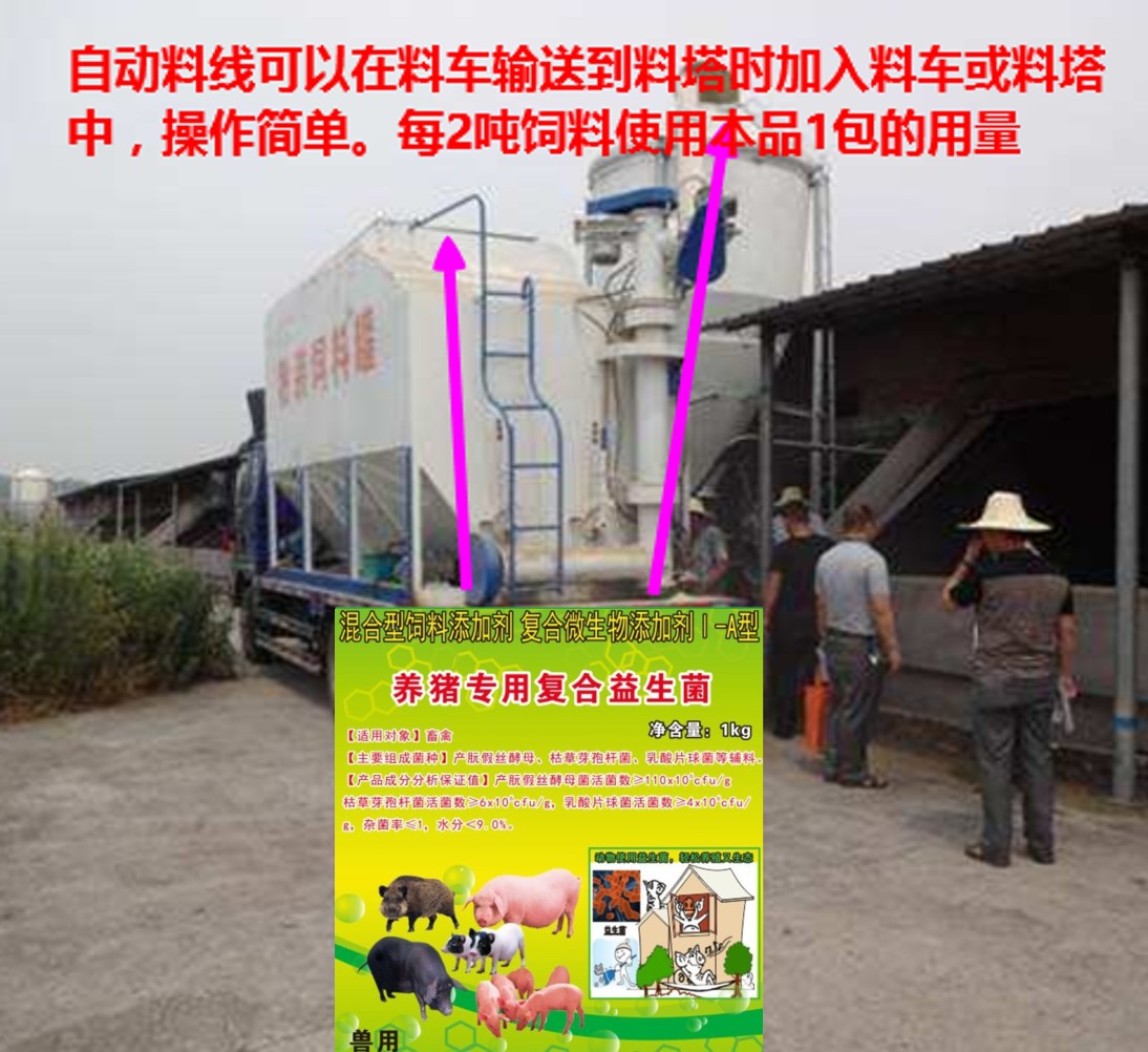 養(yǎng)豬專用復(fù)合益生菌加入自動(dòng)料線.jpg