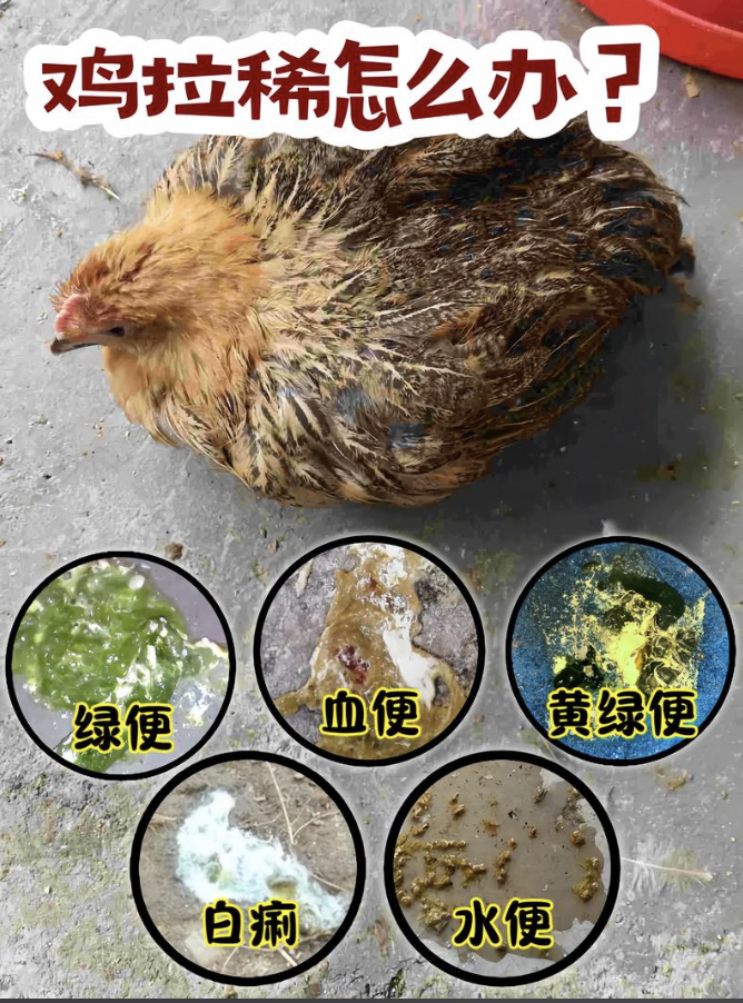 截屏2026-03-23 08.58.54.png