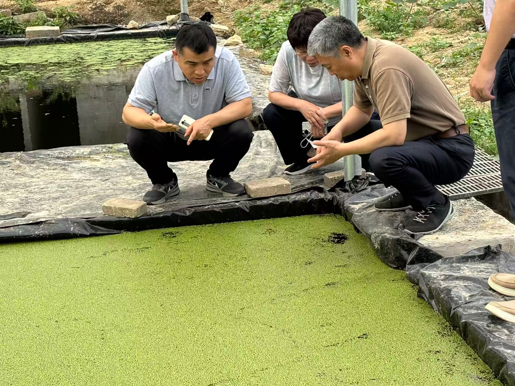 趙海老師蒞臨廣西助農生態(tài)養(yǎng)殖基地調研3.jpg