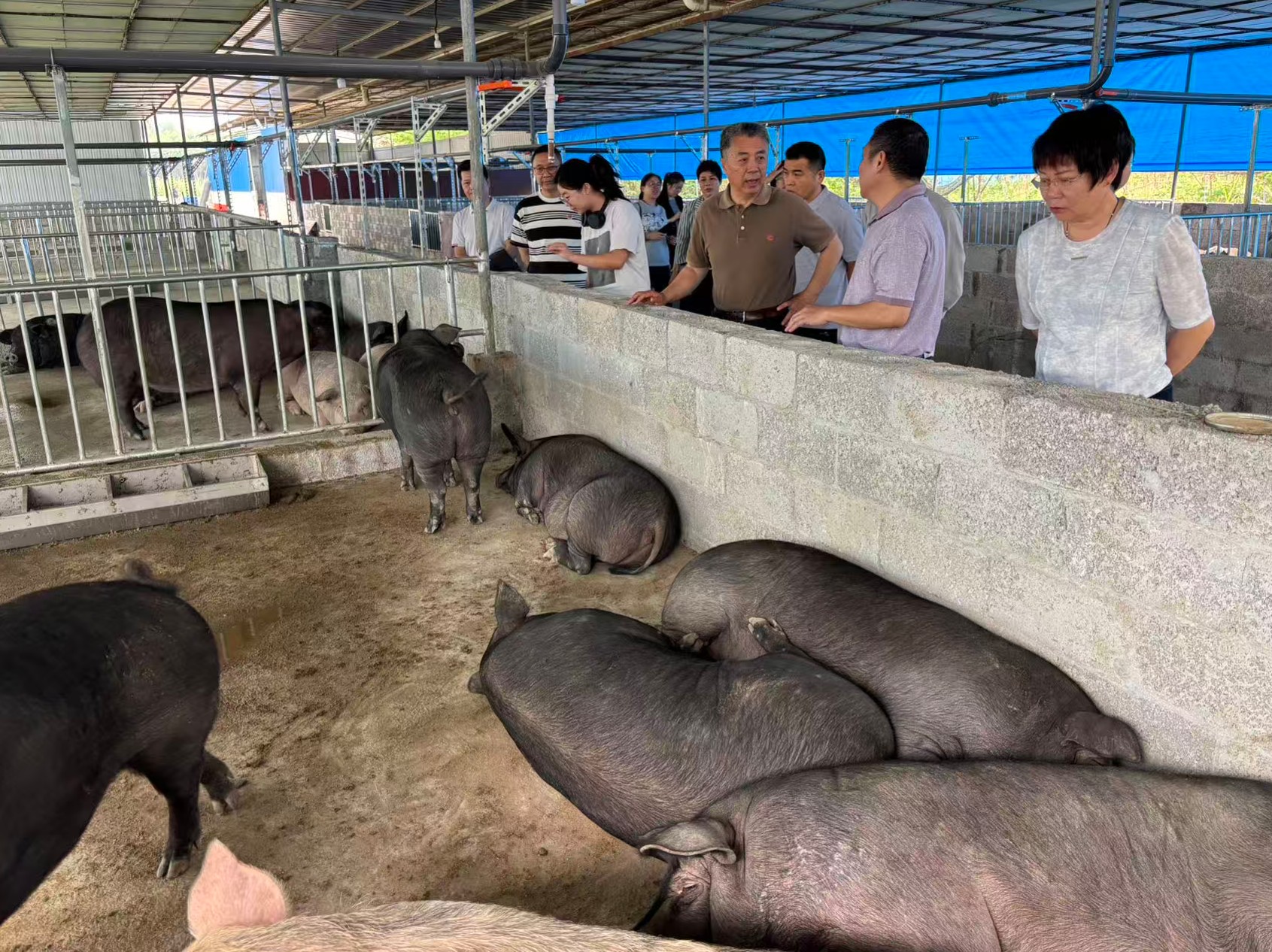趙海老師蒞臨廣西助農生態(tài)養(yǎng)殖基地調研8.jpg