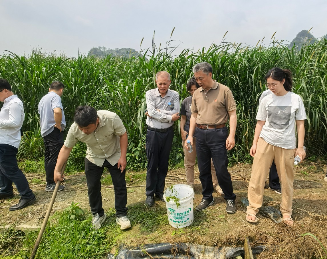 趙海老師蒞臨廣西助農生態(tài)養(yǎng)殖基地調研10.jpg
