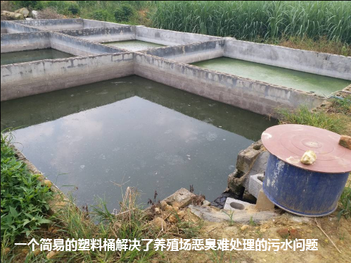 武鳴區(qū)生態(tài)養(yǎng)殖場效果驗(yàn)證1.png